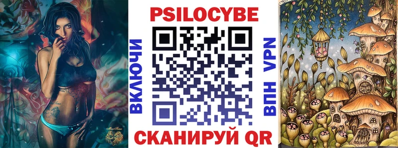 дарк нет телеграм где купить наркотик Высоцк Псилоцибиновые грибы Psilocybe
